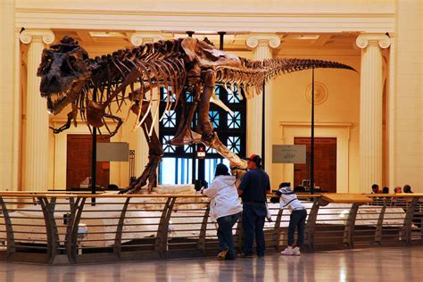 London Museums To Be Reopened | Times of India Travel