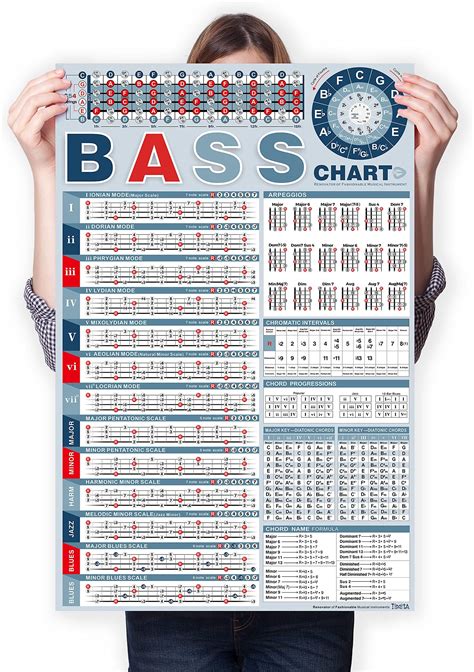 Amazon.com: Electric Bass Finger Guide Chart 4- String Guitar Chords ...