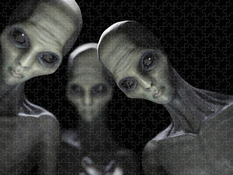 Alien Abduction Small Grey's 的图像结果