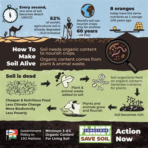 Can I sell products online in the USA while I am in India? | Export ...