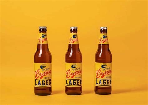 What is a Lager Beer? Difference Between Lager and Ale