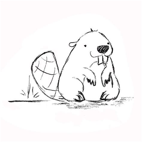 How to draw a beaver really easy drawing tutorial – Artofit