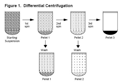 Basics of Centrifugation from Cole-Parmer India