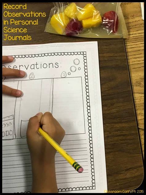 Image result for Function Science Experiments