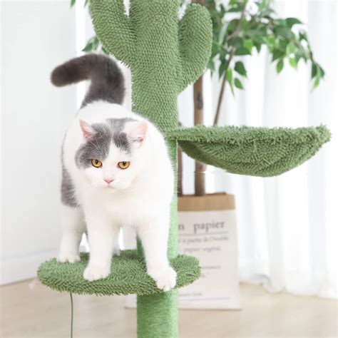 Buy BOLUO Cat Scratching Post with Hammock for Indoor Cats Scratcher ...