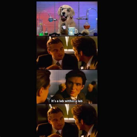 Image result for Inception Funny