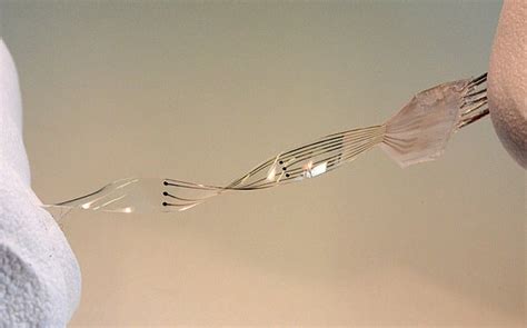 Deus Ex-style cyborg implant could help paralysis patients walk again