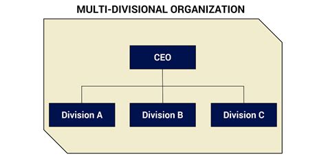 Multidivisional Structure 的图像结果