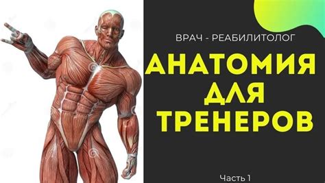 Анатомия Человека ДЛЯ Тренеров Часть 1 - Доктор Марочко - Видео от ...