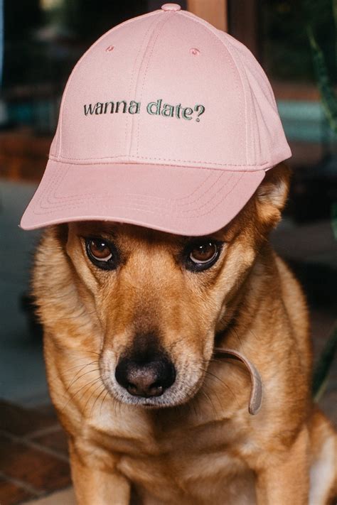 Image result for Dat G Merch