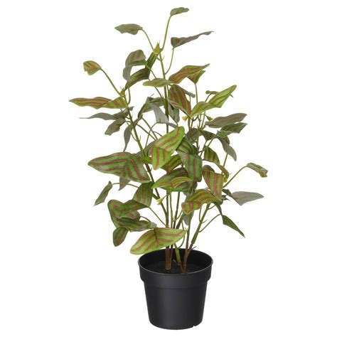 FEJKA artificial potted plant, in/outdoor Butterfly plant, 9 cm (3 ½ ...