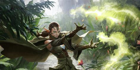 15 Best Ranger Spells In D&D 5e, Ranked