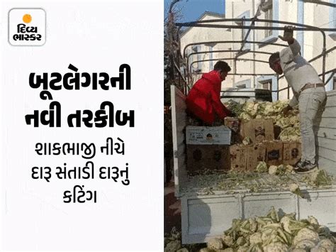SMC seizes boxes of liquor hidden under flower beds, seizes 1152 ...