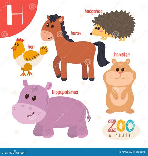 Hamster With Letter H On Blue. Alphabet. Vector Illustration ...