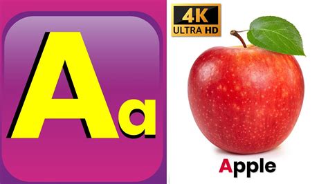 Image result for ABCD Basic