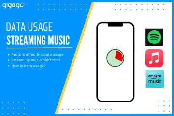 Image result for Streaming Data Usage