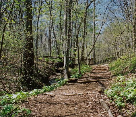 Elachee Nature Science Center | Explore Georgia