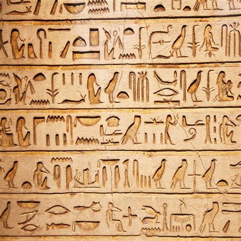Buy OFILA Hieroglyphs on The Wall Backdrop 5x5ft Ancient Egyptian ...