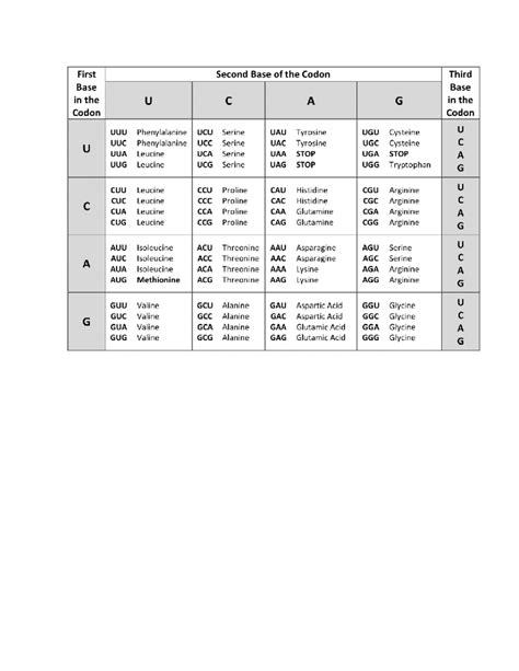Genetic Code Chart 的图像结果