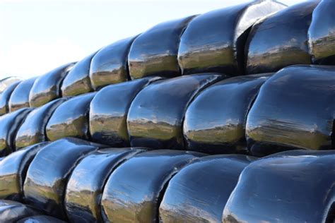 Silage Sampling Core 的图像结果