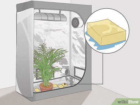 Image result for Humidity Grow Tent