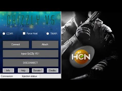 Image result for Fivem Mod Menu Injector