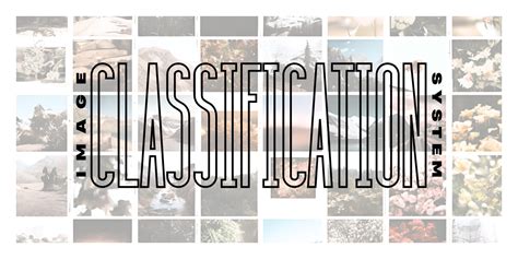 Image result for Echiler Classification System