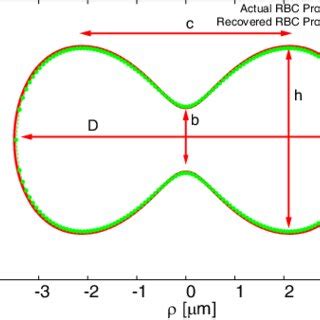 Image result for Log Linearization RBC Model