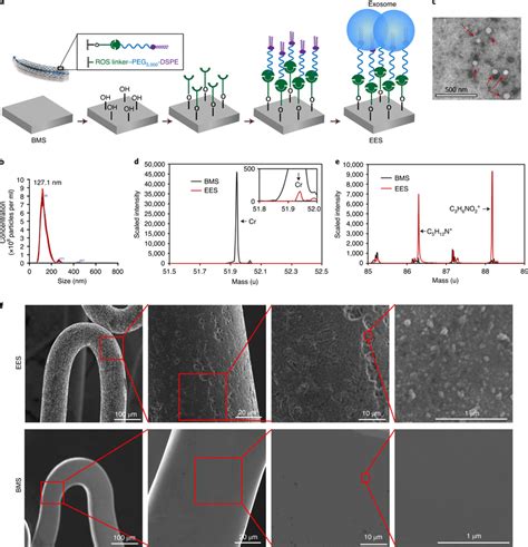 Image result for Using Ees Booth