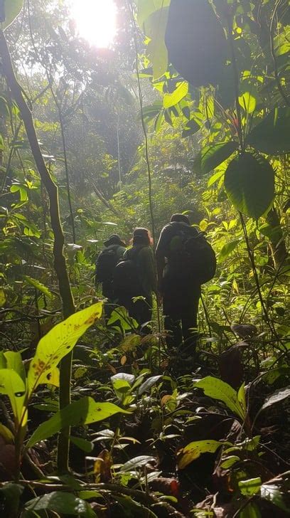 Adventure Trip 的图像结果