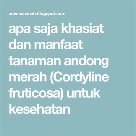 Fasilitas Kesehatan yang Tersedia
