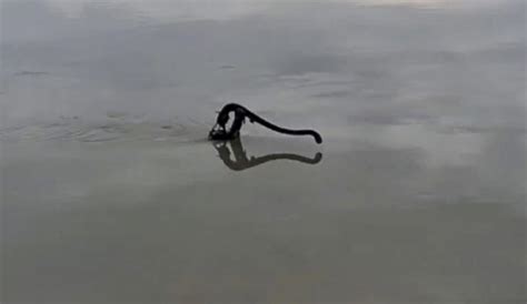 Heavy rain disrupts daily life in U'khand, Himachal; Assam flood ...