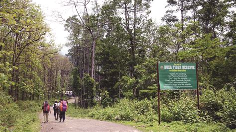 1st photographic record of Melanistic Golden Cat reported from Buxa ...