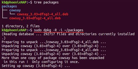 Image result for Dpkg Command