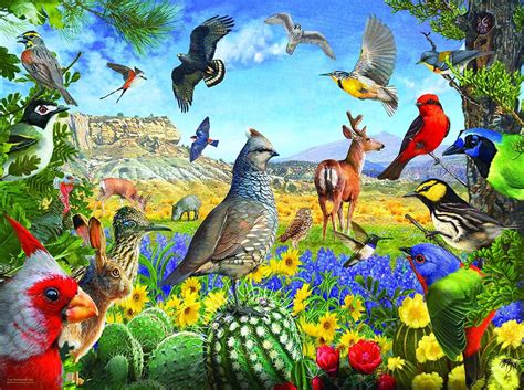 Buy Texas Birds 1000 pc Jigsaw Puzzle by SUNSOUT INC Online at Lowest ...