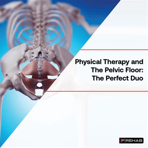 Best Pelvic Floor Books 2022 | Viewfloor.co