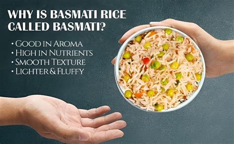 Bulk Agro Commodities Exporter from India for Global Importers | M.ALI ...