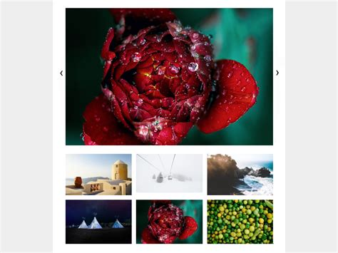 Image result for Simple JavaScript Image Gallery