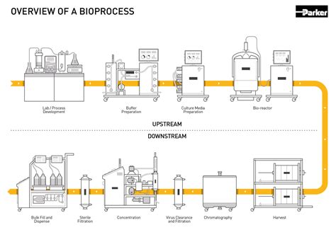 BioPharm Process 的图像结果