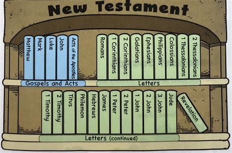 New Testament 242