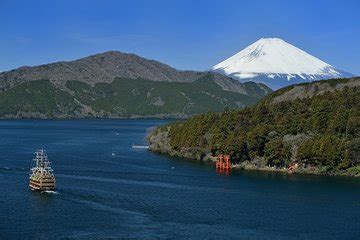 Day Trip from Tokyo: Hakone & Kamakura with Seafood BBQ lunch 2024 - Viator