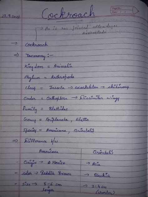 Image result for Cockroach Class 12