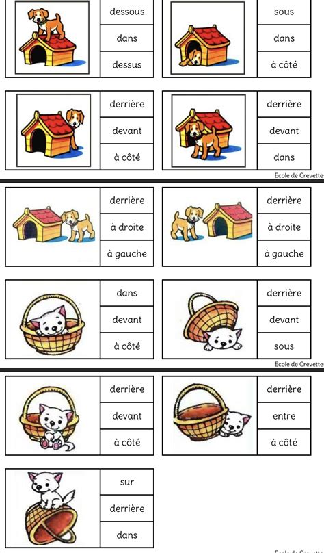 French Language Basics, French Language Lessons, French Language Learning, French For Dummies ...