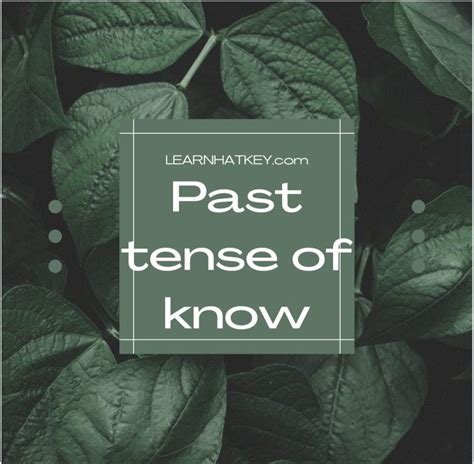 Image result for Know Past Tense
