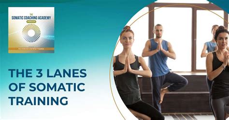 Somatic Training 的图像结果
