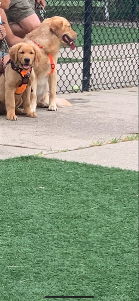 Hi All, In iBegin portal my BGC status is "BGC In-Process OR BGC Status ...