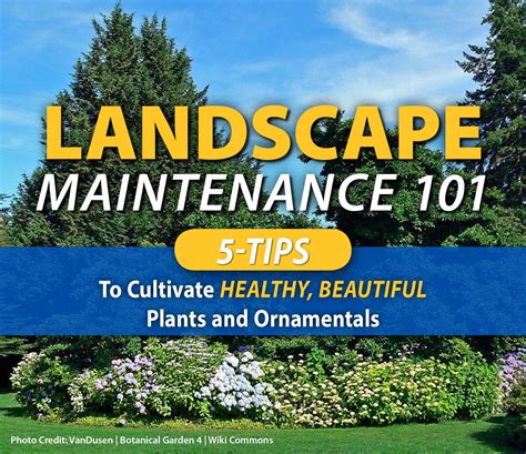 Image result for Landscape Maintenance Tips