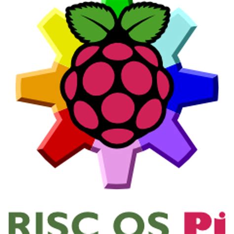 Image result for Risc OSPI