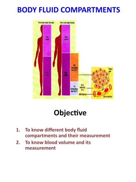 Body Fluids Tutorial 的图像结果