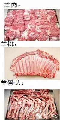 【生鲜干货】牛羊肉商品知识及产品陈列！！_超市_联商论坛